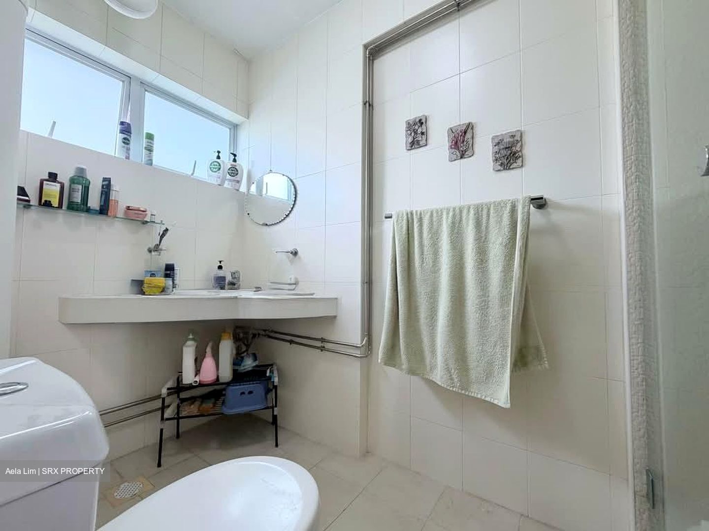 Lagoon View (D15), Apartment #557552241